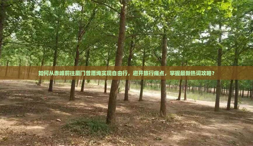 如何从赤峰前往厦门曾厝埯实现自由行，避开旅行痛点，掌握最新热词攻略？