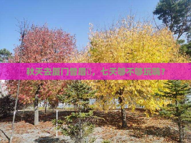 秋天去厦门曾厝垵，七天够不够玩嗨？