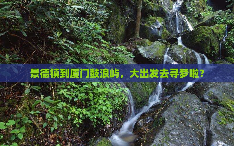 景德镇到厦门鼓浪屿，大出发去寻梦啦？