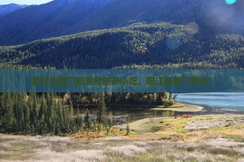 阳江去厦门和贵楼旅游小吃，阳江离厦门多远？