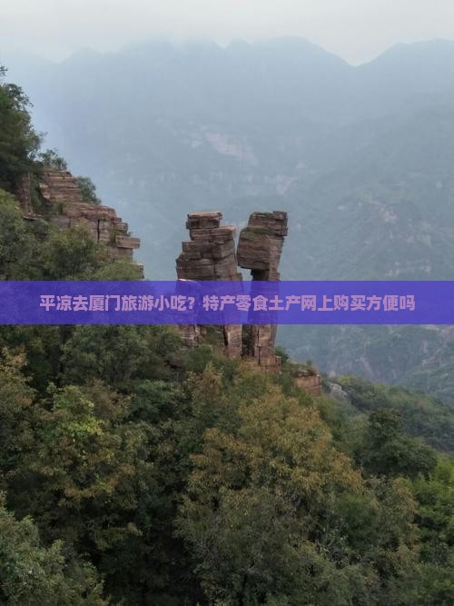 平凉去厦门旅游小吃？特产零食土产网上购买方便吗