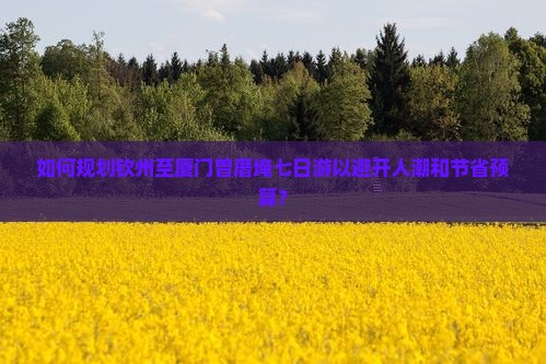 如何规划钦州至厦门曾厝埯七日游以避开人潮和节省预算？