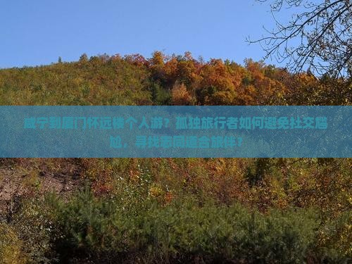 咸宁到厦门怀远楼个人游？孤独旅行者如何避免社交尴尬，寻找志同道合旅伴？