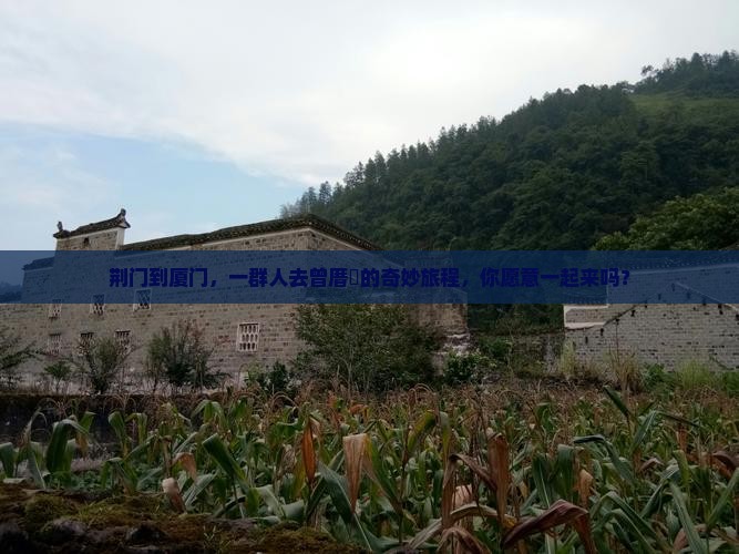 荆门到厦门，一群人去曾厝垵的奇妙旅程，你愿意一起来吗？