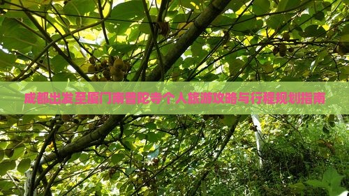 成都出发至厦门南普陀寺个人旅游攻略与行程规划指南