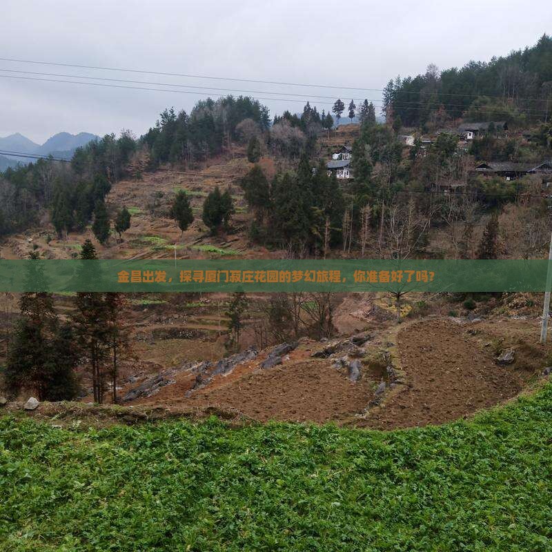 金昌出发，探寻厦门菽庄花园的梦幻旅程，你准备好了吗？