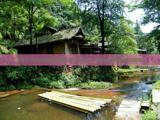 为何大兴安岭游客纷纷涌向厦门怀远楼？背后旅游痛点与热词新词！