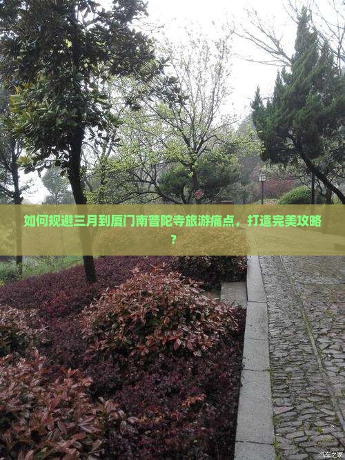 如何规避三月到厦门南普陀寺旅游痛点，打造完美攻略？