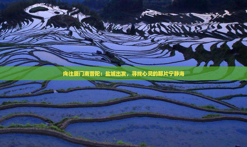 向往厦门南普陀：盐城出发，寻找心灵的那片宁静海