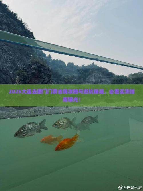 大连去厦门门票