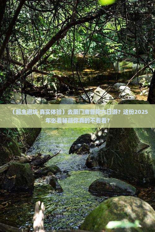 白银去厦门南普陀六日游