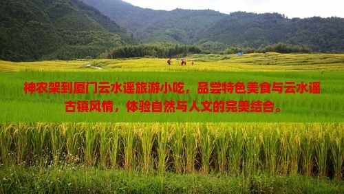 神农架到厦门云水谣旅游小吃