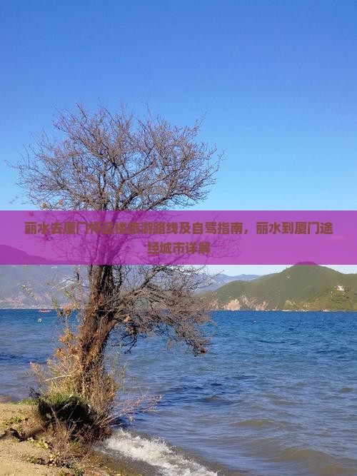 丽水去厦门怀远楼旅游