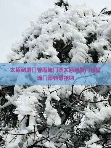 太原到厦门曾厝埯门票