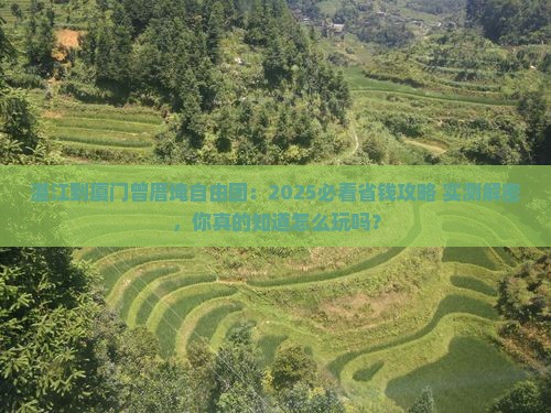 湛江到厦门曾厝埯自由团