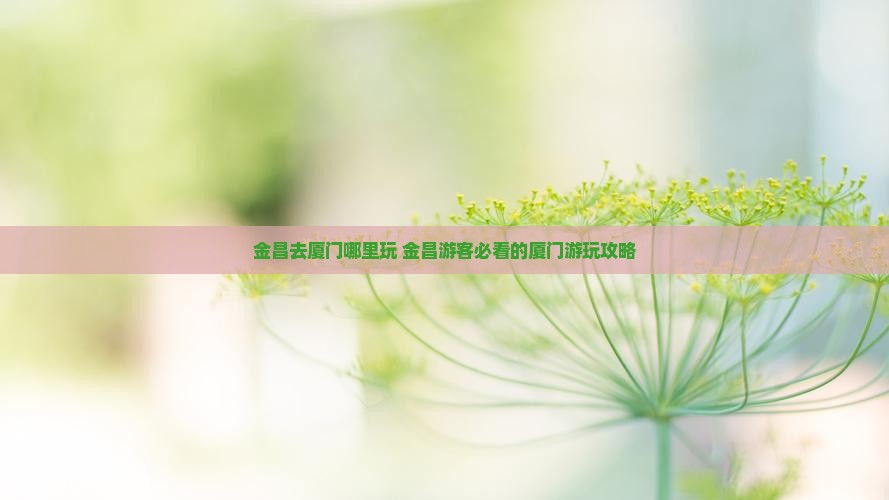 金昌去厦门哪里玩