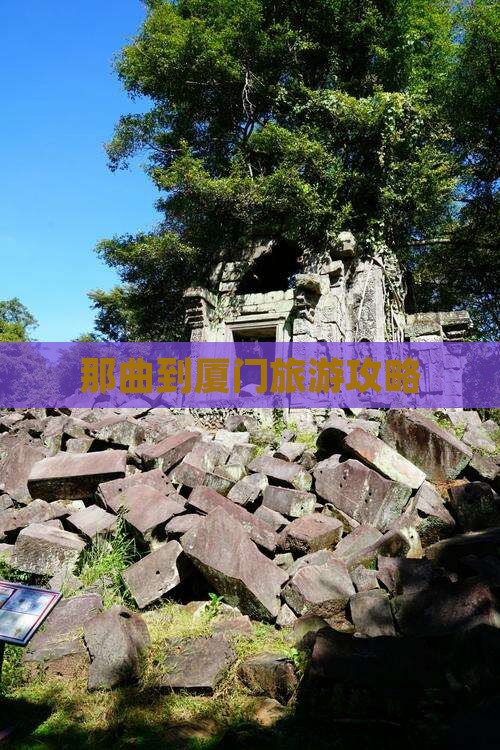 那曲去厦门自由团