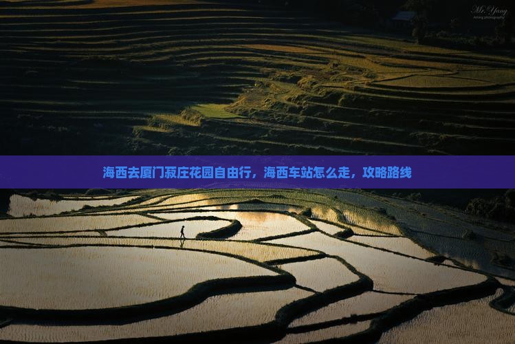 海西去厦门菽庄花园自由行