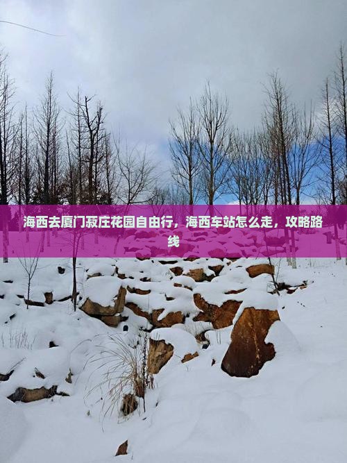海西去厦门菽庄花园自由行