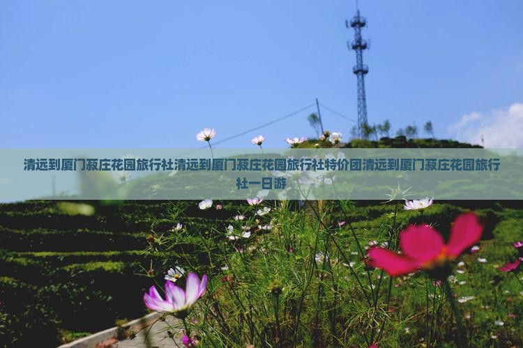 清远到厦门菽庄花园旅行社