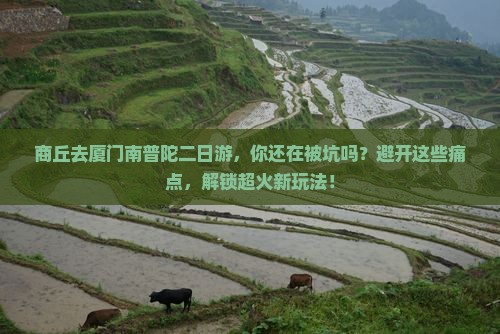 商丘去厦门南普陀二日游