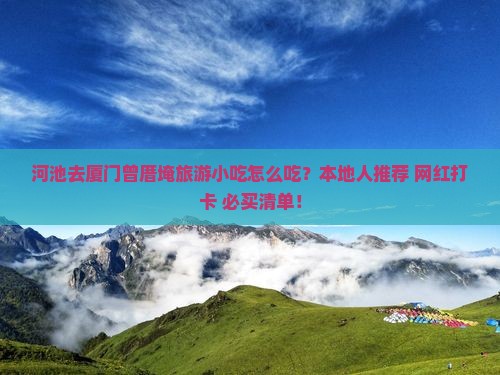 河池去厦门曾厝埯旅游小吃