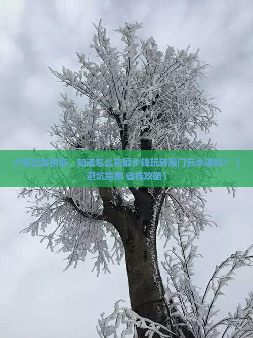 六安到厦门云水谣旅行社