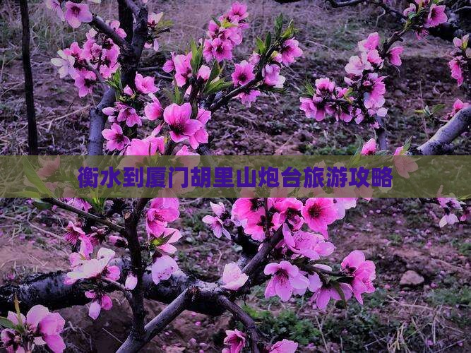 衡水到厦门胡里山炮台一日