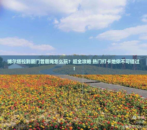 博尔塔拉到厦门曾厝埯大型旅游团