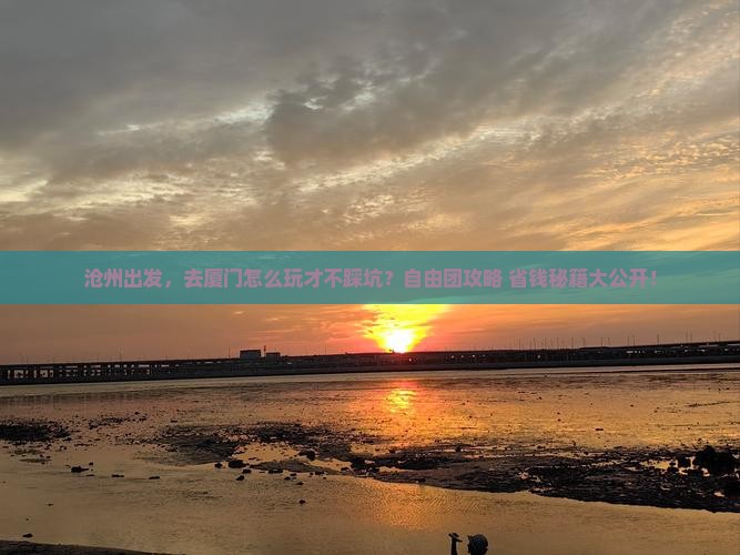 沧州到厦门自由团 沧州到厦门自由团