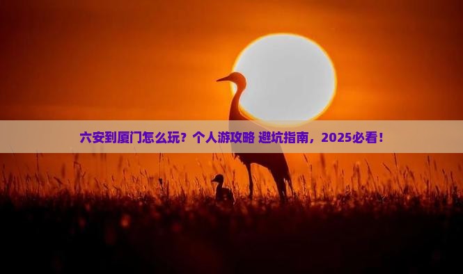 六安到厦门个人游