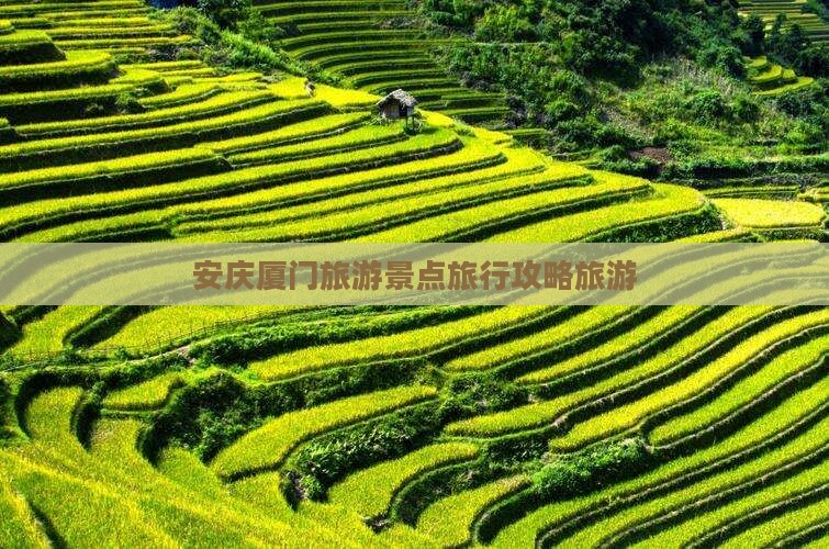 安庆去厦门毓园旅行社