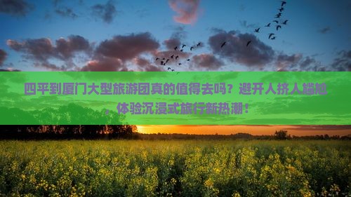 四平到厦门大型旅游团