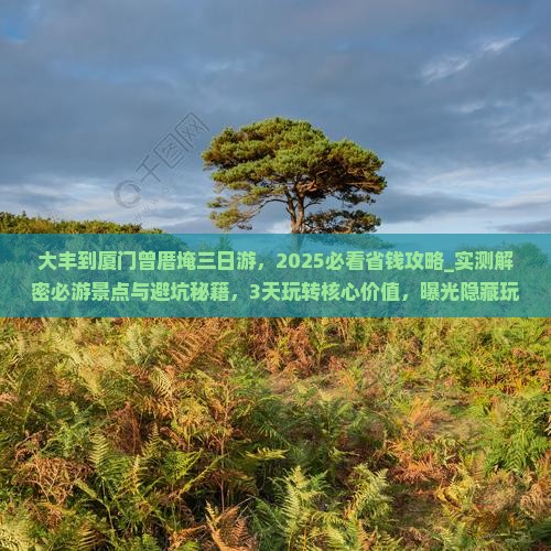 大丰到厦门曾厝埯三日游