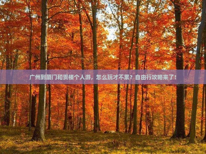 广州到厦门和贵楼个人游
