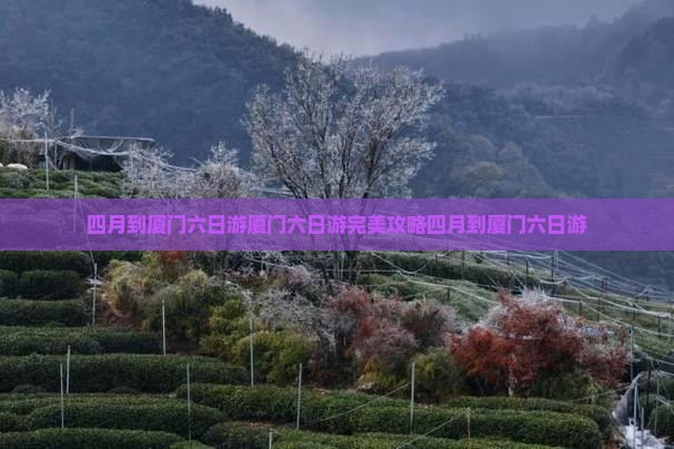 四月到厦门六日游