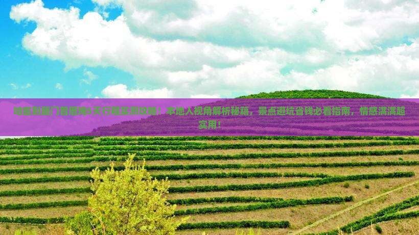 哈密到厦门曾厝埯必去地