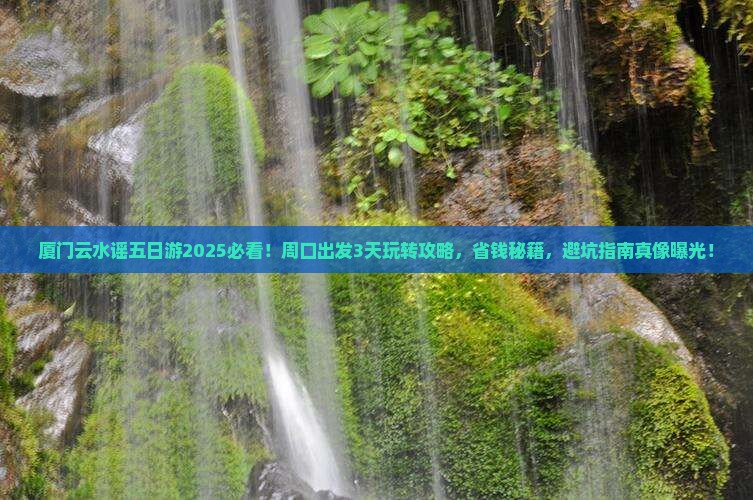 周口去厦门云水谣五日游