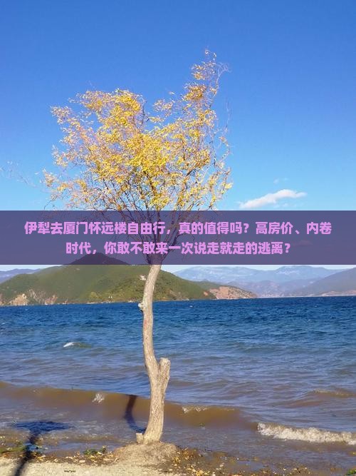 伊犁去厦门怀远楼自由行