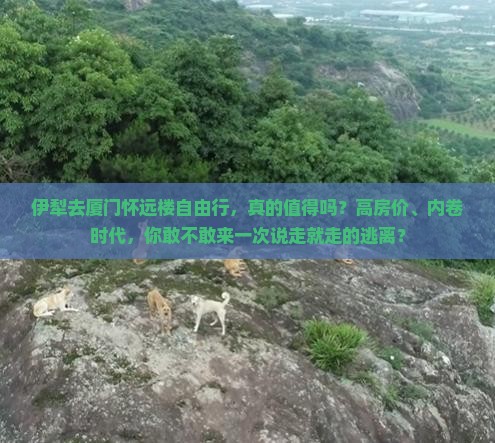 伊犁去厦门怀远楼自由行