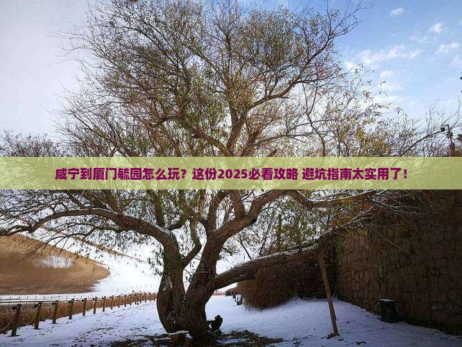 咸宁到厦门毓园攻略