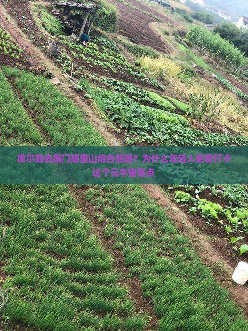 库尔勒去厦门胡里山炮台旅游？为什么年轻人更爱打卡这个元宇宙景点