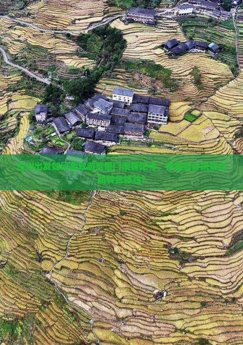 台州出发如何高效游览厦门南普陀寺，有哪些必玩景点和特色体验？