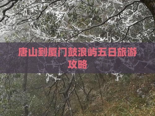 唐山到厦门鼓浪屿五日旅游攻略