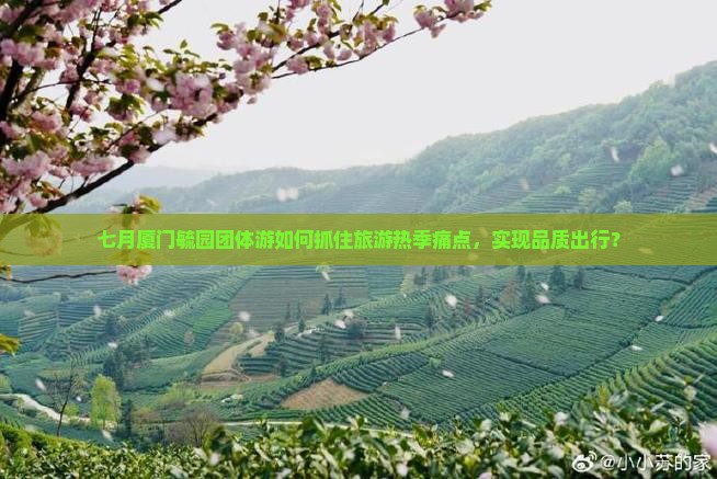 七月厦门毓园团体游如何抓住旅游热季痛点，实现品质出行？