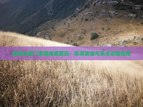 商洛去厦门曾厝埯哪里玩:探寻美食与景点攻略指南 商洛去厦门曾厝埯哪里玩:探寻美食与景点攻略指南