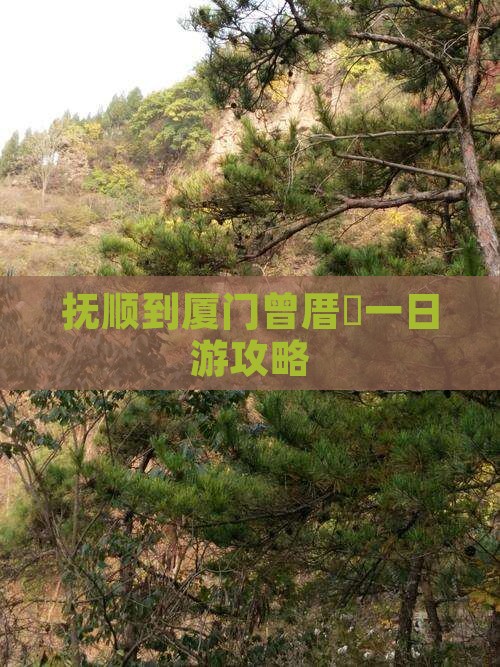抚顺到厦门曾厝垵一日游攻略 抚顺到厦门曾厝垵一日游攻略