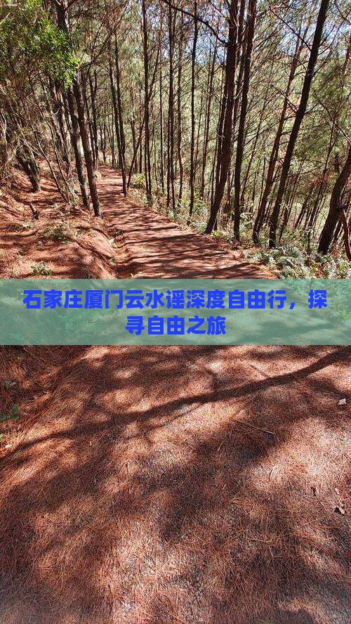 石家庄厦门云水谣深度自由行，探寻自由之旅