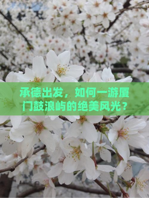 承德出发，如何一游厦门鼓浪屿的绝美风光？