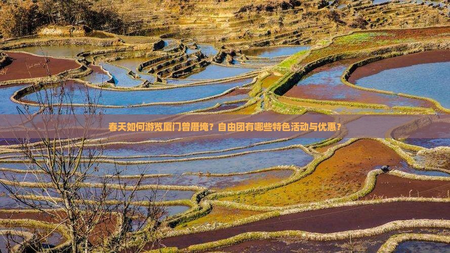 春天如何游览厦门曾厝埯？自由团有哪些特色活动与优惠？